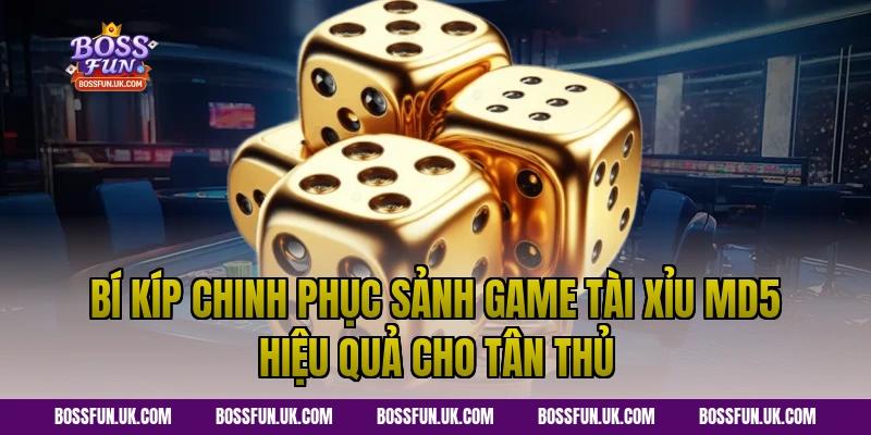 Bí kíp chinh phục sảnh game Tài xỉu md5 hiệu quả cho tân thủ